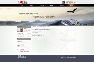 高效与可信的桥梁 基金公司网站设计的关键要素